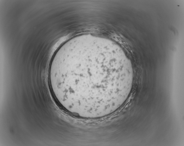 X0000113020003200909241645