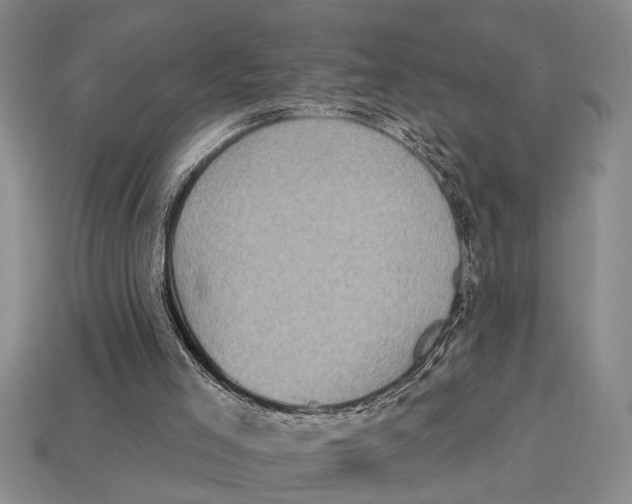 X0000113020005200909241645