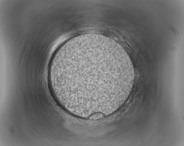 X0000113020006200909241645