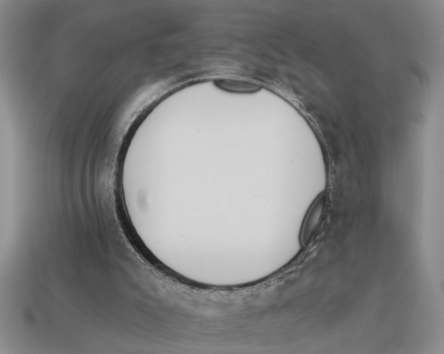 X0000113020007200909241645