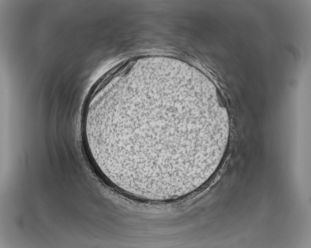 X0000113020008200909241645