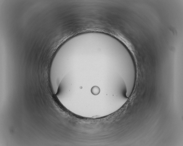 X0000113020009200909241645