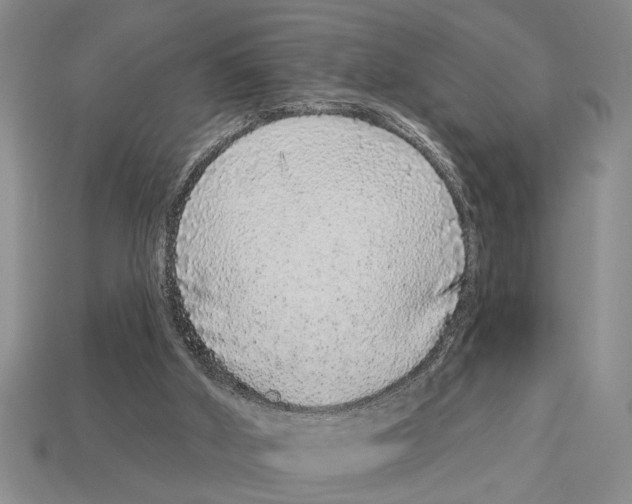 X0000113020010200909241645