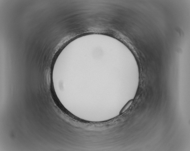 X0000113020011200909241645