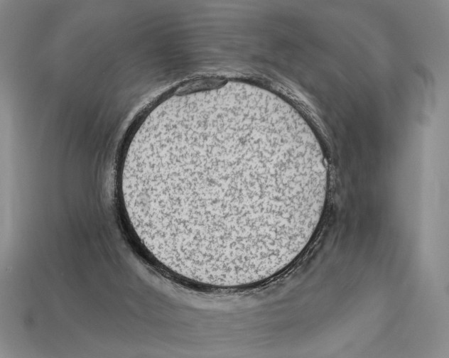 X0000113020012200909241645