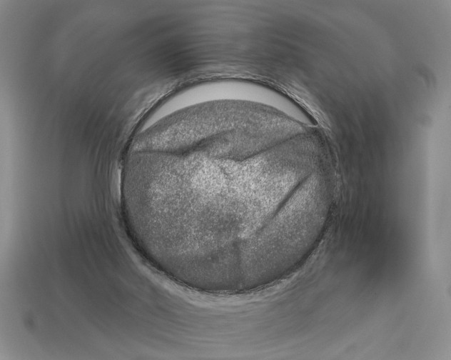 X0000113020014200909241645