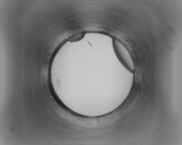 X0000113020015200909241645