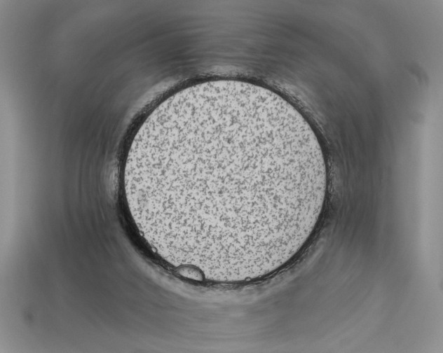 X0000113020016200909241645