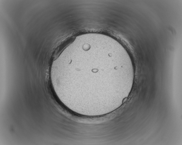 X0000113020017200909241645