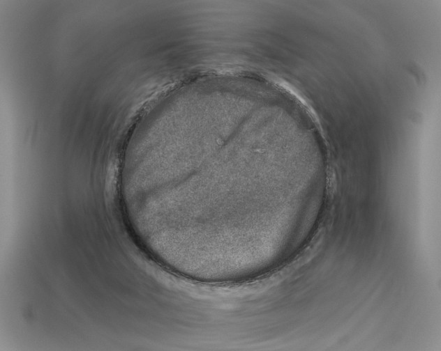 X0000113020018200909241645