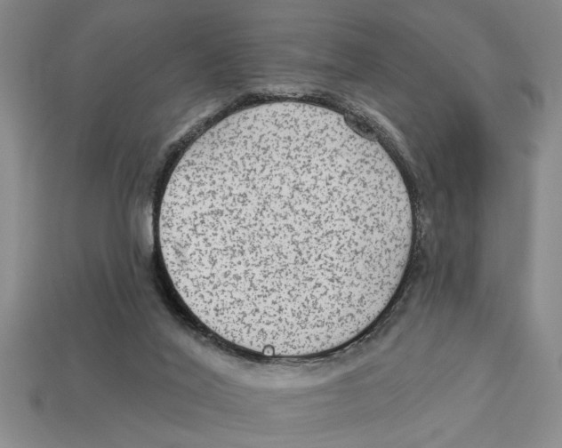 X0000113020020200909241645