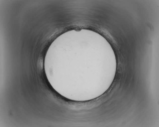 X0000113020021200909241645