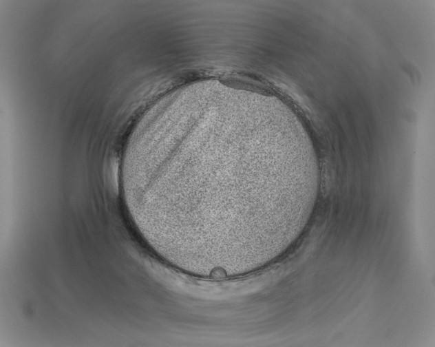 X0000113020022200909241645