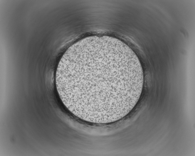 X0000113020024200909241645