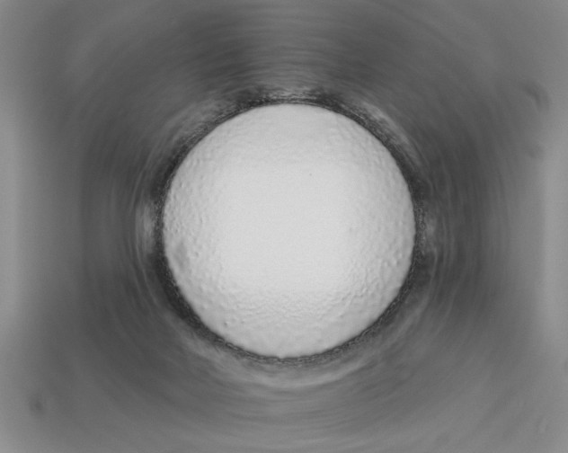 X0000113020026200909241645