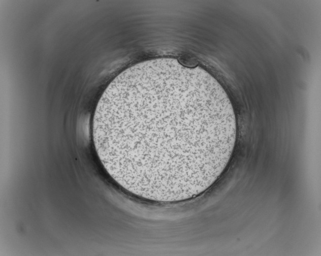 X0000113020028200909241645