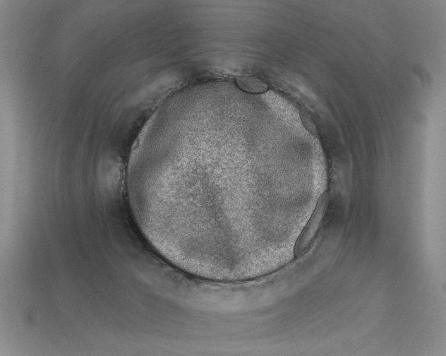 X0000113020029200909241645