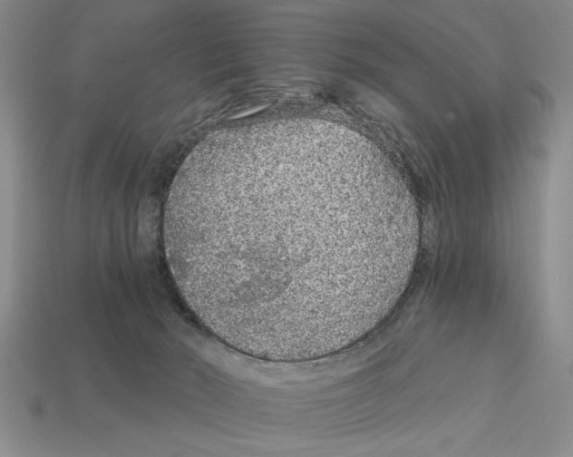 X0000113020030200909241645