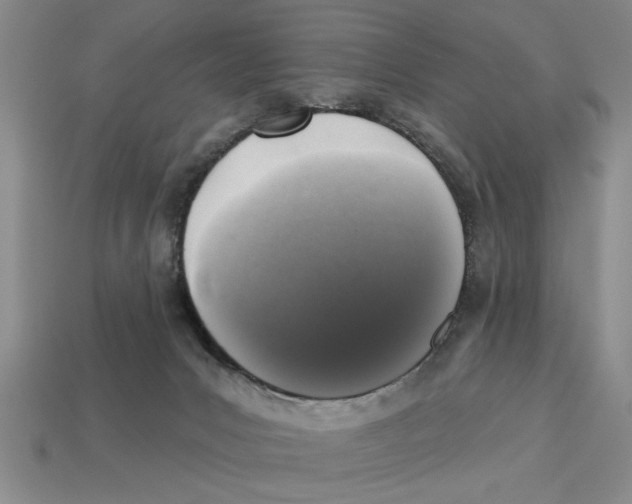 X0000113020031200909241645