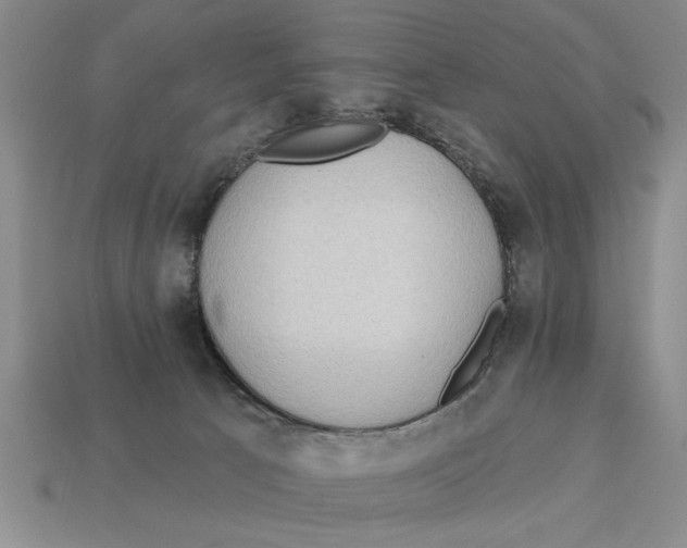 X0000113020033200909241645