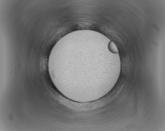 X0000113020038200909241645