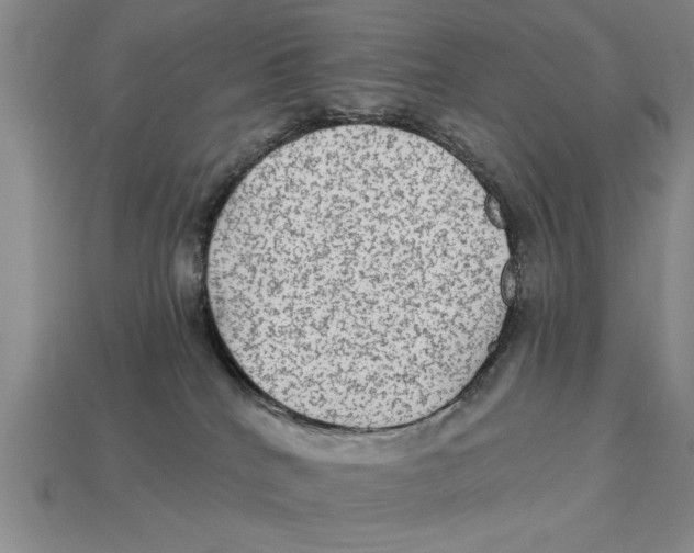 X0000113020040200909241645