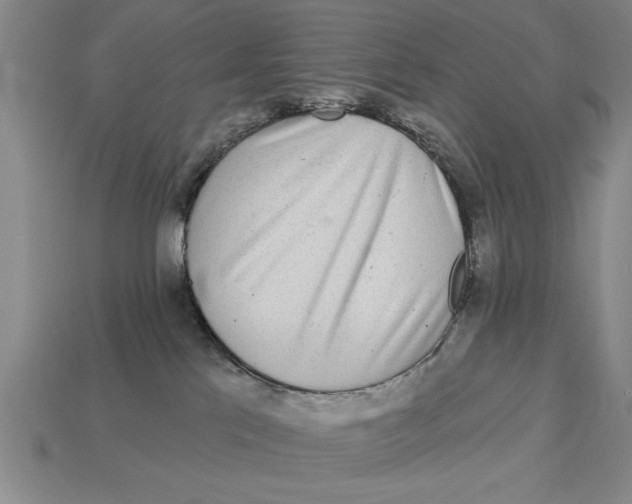 X0000113020041200909241645