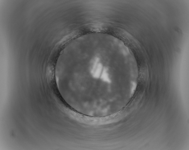 X0000113020043200909241645