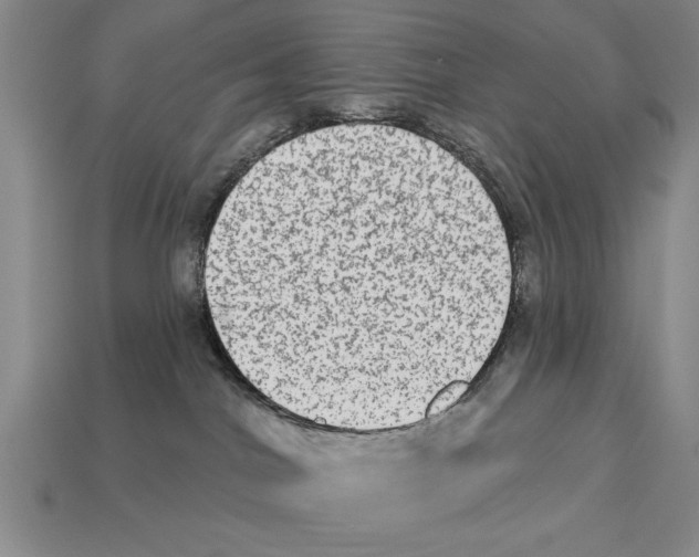 X0000113020044200909241645