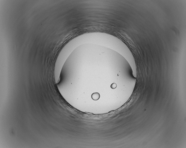 X0000113020045200909241645