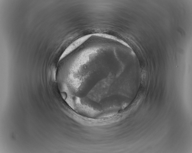 X0000113020046200909241645