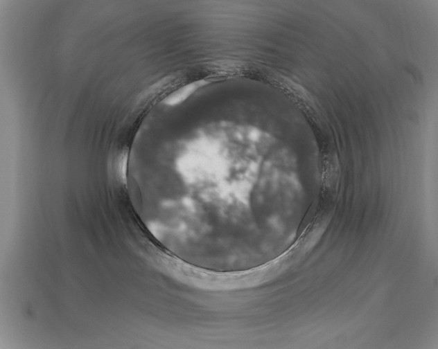 X0000113020047200909241645