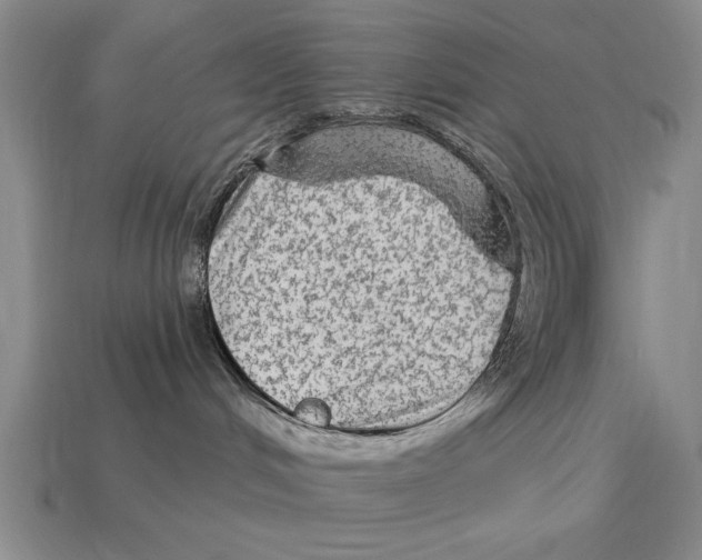 X0000113020048200909241645