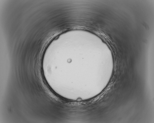 X0000113020049200909241644