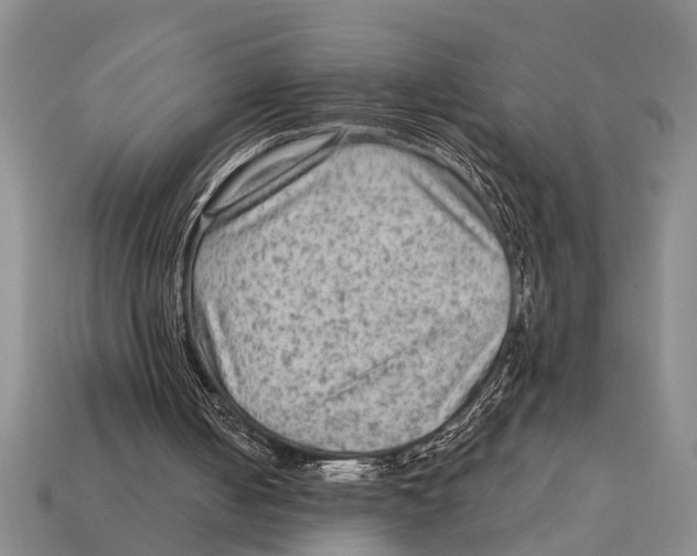 X0000113020050200909241644