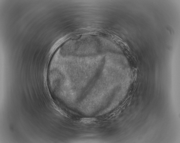 X0000113020051200909241644