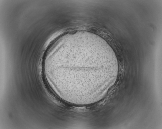 X0000113020054200909241644