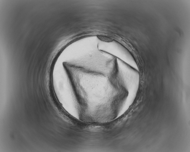 X0000113020055200909241644