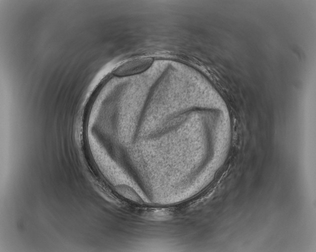 X0000113020056200909241644