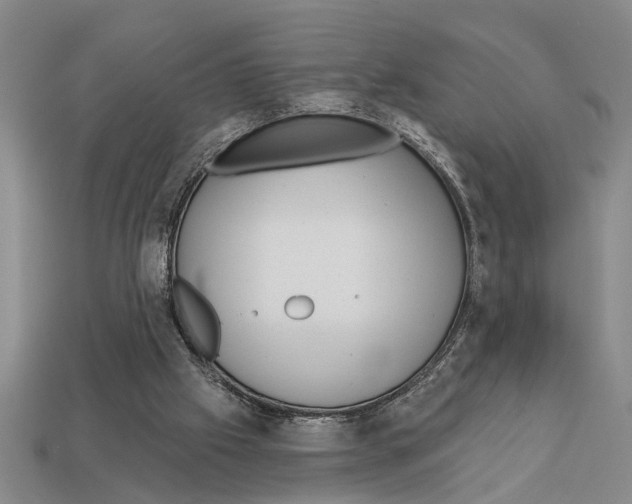 X0000113020057200909241644