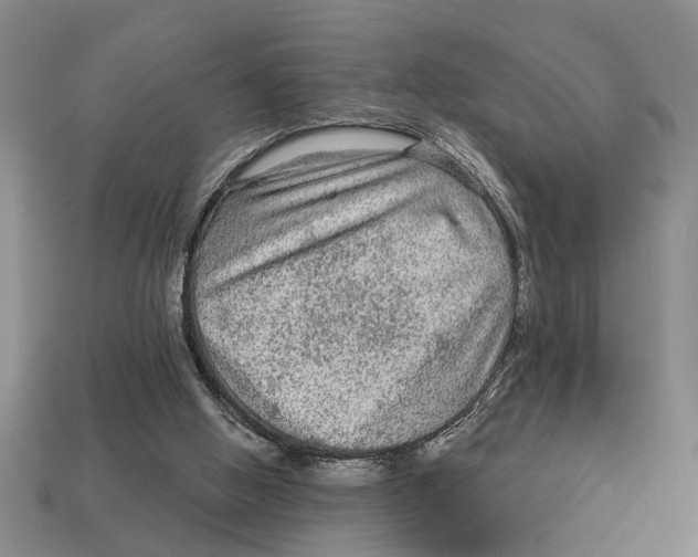 X0000113020058200909241644