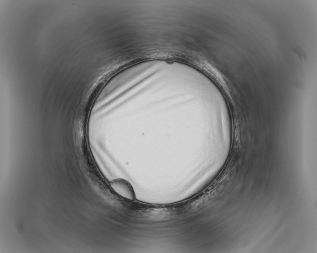 X0000113020059200909241644