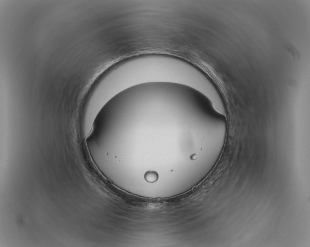 X0000113020060200909241644