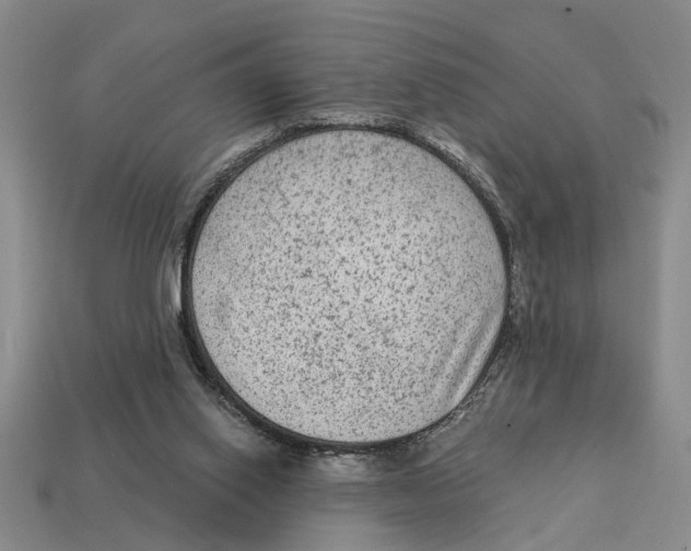 X0000113020062200909241644