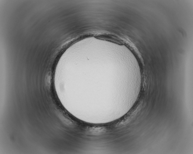 X0000113020063200909241644