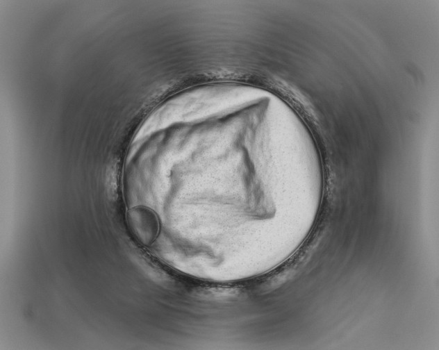 X0000113020065200909241644