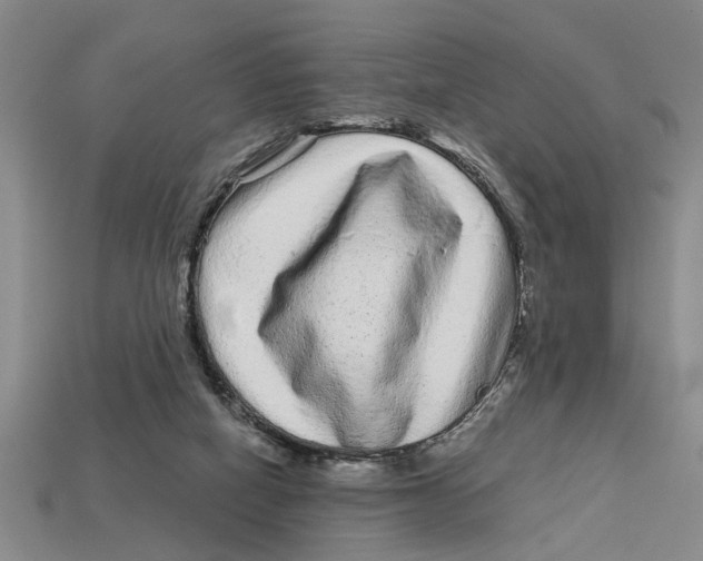 X0000113020066200909241644