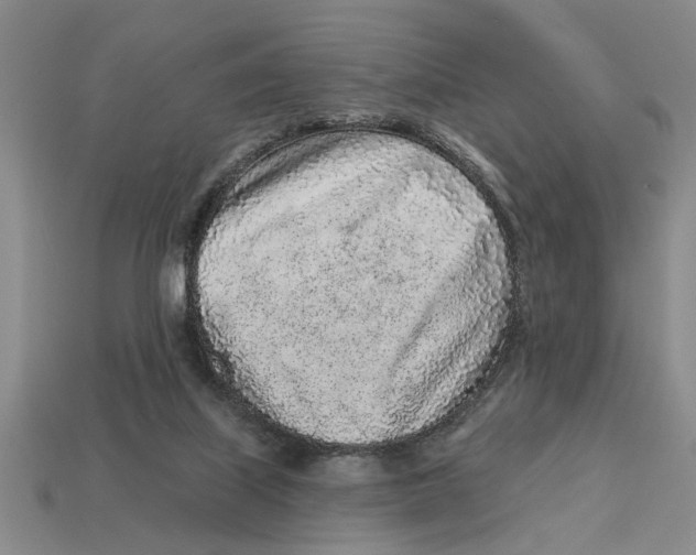 X0000113020067200909241644