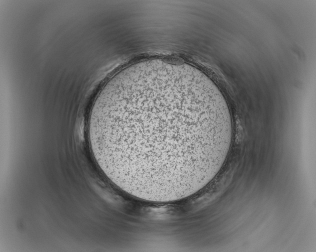 X0000113020068200909241644