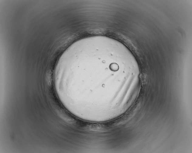 X0000113020069200909241644